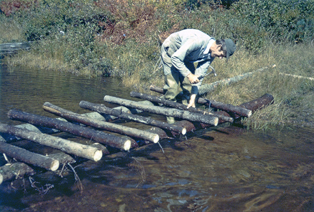 Moss Lake Camp for Girls - Path Around the Lake - Inlet Foot Bridge Building