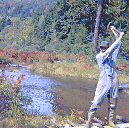 Moss Lake Camp for Girls - Path Around the Lake - Inlet Foot Bridge Building